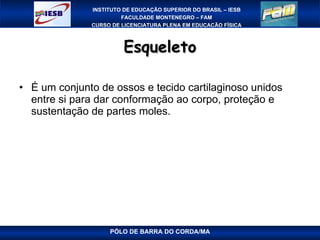 Esqueleto É um conjunto de ossos e tecido cartilaginoso unidos entre si para dar conformação ao corpo, proteção e sustentação de partes moles. PÓLO DE BARRA DO CORDA/MA 