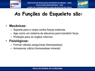 As Funções do Esqueleto são: Mecânicas: Suporte para o corpo contra forças externas Age como um sistema de alavanca para transferir força Proteção para os órgãos internos Fisiológicas: Formar células sanguíneas (hemopoiese) Armazenar cálcio (homeostase mineral) PÓLO DE BARRA DO CORDA/MA 