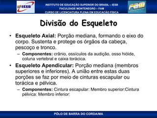 Divisão do Esqueleto Esqueleto Axial:  Porção mediana, formando o eixo do corpo. Sustenta e protege os órgãos da cabeça, pescoço e tronco. Componentes:  crânio, ossículos da audição, osso hióide, coluna vertebral e caixa torácica. Esqueleto Apendicular:  Porção mediana (membros superiores e inferiores). A união entre estas duas porções se faz por meio de cinturas escapular ou torácica e pélvica. Componentes:  Cintura escapular: Membro superior:Cintura pélvica: Membro inferior: PÓLO DE BARRA DO CORDA/MA 
