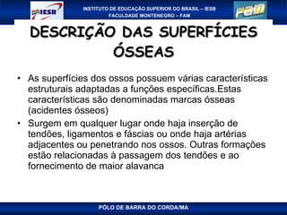 DESCRIÇÃO DAS SUPERFÍCIES ÓSSEAS As superfícies dos ossos possuem várias características estruturais adaptadas a funções específicas.Estas características são denominadas marcas ósseas (acidentes ósseos) Surgem em qualquer lugar onde haja inserção de tendões, ligamentos e fáscias ou onde haja artérias adjacentes ou penetrando nos ossos. Outras formações estão relacionadas à passagem dos tendões e ao fornecimento de maior alavanca PÓLO DE BARRA DO CORDA/MA 