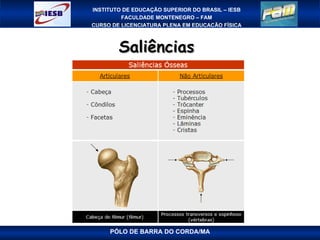 Saliências  PÓLO DE BARRA DO CORDA/MA 