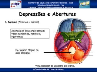 Depressões e Aberturas  PÓLO DE BARRA DO CORDA/MA Vista superior do assoalho do crânio.  A . Forame  ( foramen  = orifício) Ex. forame Magno do osso Occipital Abertura no osso onde passam vasos sangüíneo, nervos ou ligamentos 