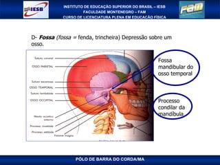 PÓLO DE BARRA DO CORDA/MA Processo condilar da mandíbula Fossa mandibular do osso temporal D-  Fossa  (fossa =  fenda, trincheira) Depressão sobre um osso.  