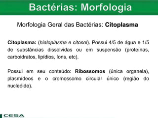 Morfologia Geral das Bactérias: Citoplasma
Citoplasma: (hialoplasma e citosol). Possui 4/5 de água e 1/5
de substâncias dissolvidas ou em suspensão (proteínas,
carboidratos, lipídios, íons, etc).
Possui em seu conteúdo: Ribossomos (única organela),
plasmídeos e o cromossomo circular único (região do
nucleóide).
 