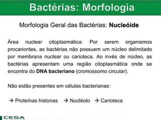 Morfologia Geral das Bactérias: Nucleóide
Área nuclear citoplasmática: Por serem organismos
procariontes, as bactérias não possuem um núcleo delimitado
por membrana nuclear ou carioteca. Ao invés de núcleo, as
bactérias apresentam uma região citoplasmática onde se
encontra do DNA bacteriano (cromossomo circular).
Não estão presentes em células bacterianas:
 Proteínas histonas  Nucléolo  Carioteca
 