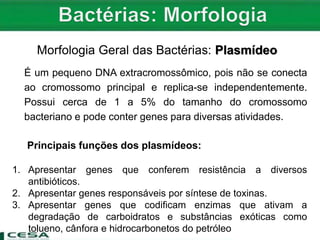 Morfologia Geral das Bactérias: Plasmídeo
É um pequeno DNA extracromossômico, pois não se conecta
ao cromossomo principal e replica-se independentemente.
Possui cerca de 1 a 5% do tamanho do cromossomo
bacteriano e pode conter genes para diversas atividades.
Principais funções dos plasmídeos:
1. Apresentar genes que conferem resistência a diversos
antibióticos.
2. Apresentar genes responsáveis por síntese de toxinas.
3. Apresentar genes que codificam enzimas que ativam a
degradação de carboidratos e substâncias exóticas como
tolueno, cânfora e hidrocarbonetos do petróleo
 