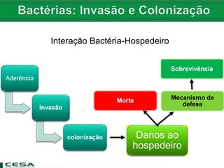 Interação Bactéria-Hospedeiro
Aderência
Invasão
colonização Danos ao
hospedeiro
Morte Mecanismo de
defesa
Sobrevivência
 