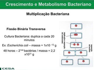Multiplicação Bacteriana
Fissão Binária Transversa
Cultura Bacteriana: duplica a cada 20
minutos
Ex: Escherichia coli – massa = 1x10 -12 g
48 horas – 2144 bactérias / massa = 2,2
x1031 g
 
