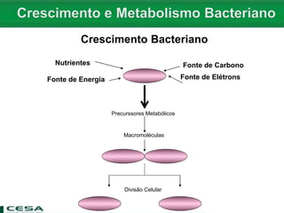 Crescimento Bacteriano
Nutrientes Fonte de Carbono
Fonte de ElétronsFonte de Energia
Precurssores Metabólicos
Macromoléculas
Divisão Celular
 