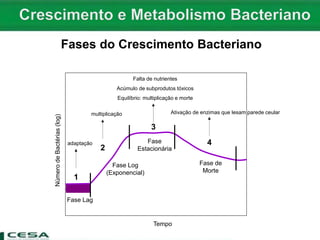 Fases do Crescimento Bacteriano
1
2
3
4
NúmerodeBactérias(log)
Tempo
Fase Lag
Fase Log
(Exponencial)
Fase
Estacionária
Fase de
Morte
adaptação
multiplicação
Falta de nutrientes
Acúmulo de subprodutos tóxicos
Equilíbrio: multiplicação e morte
Ativação de enzimas que lesam parede ceular
 