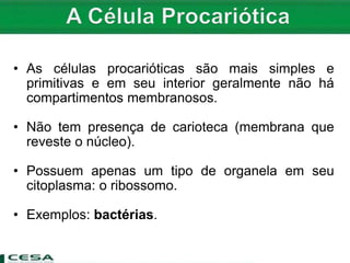 • As células procarióticas são mais simples e
primitivas e em seu interior geralmente não há
compartimentos membranosos.
• Não tem presença de carioteca (membrana que
reveste o núcleo).
• Possuem apenas um tipo de organela em seu
citoplasma: o ribossomo.
• Exemplos: bactérias.
 