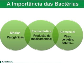 Médica
Patogênicas
Farmacêutica
Produção de
medicamentos;
Comercial
Pães,
cervejas,
iogurte...
 