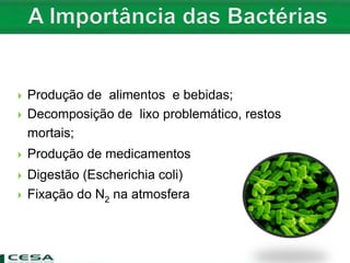  Produção de alimentos e bebidas;
 Decomposição de lixo problemático, restos
mortais;
 Produção de medicamentos
 Digestão (Escherichia coli)
 Fixação do N2 na atmosfera
 