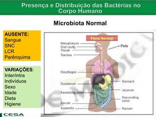Microbiota Normal
AUSENTE:
Sangue
SNC
LCR
Parênquima
VARIAÇÕES:
Inter/intra
Indivíduos
Sexo
Idade
Dieta
Higiene
 