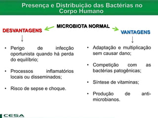 MICROBIOTA NORMAL
VANTAGENSDESVANTAGENS
• Adaptação e multiplicação
sem causar dano;
• Competição com as
bactérias patogênicas;
• Síntese de vitaminas;
• Produção de anti-
microbianos.
• Perigo de infecção
oportunista quando há perda
do equilíbrio;
• Processos inflamatórios
locais ou disseminados;
• Risco de sepse e choque.
 