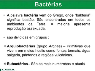 • A palavra bactéria vem do Grego, onde “bakteria”
significa bastão. São encontradas em todos os
ambientes da Terra. A maioria apresenta
reprodução assexuada.
• são divididas em grupos :
Arquiobactérias (grupo Archae) – Primitivas que
vivem em meios hostis como fontes termais, água
salgada, pântanos e regiões vulcânicas.
Eubactérias– São as mais numerosas e atuais
 