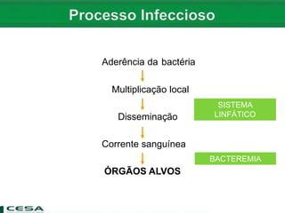 PROCESSO INFECCIOSO
Aderência da bactéria
Multiplicação local
Disseminação
Corrente sanguínea
ÓRGÃOS ALVOS
BACTEREMIA
SISTEMA
LINFÁTICO
 