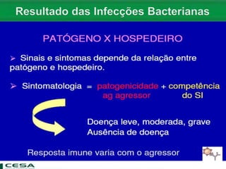 Aula  Bactérias - estrutura - morfologia e patogenicidade