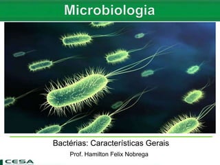 Origem Bactérias: Características Gerais
Prof. Hamilton Felix Nobrega
 