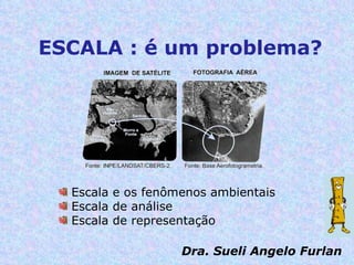 ESCALA : é um problema?  ,[object Object],[object Object],[object Object],Dra. Sueli Angelo Furlan 