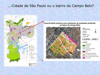 … .Cidade de São Paulo ou o bairro do Campo Belo?  