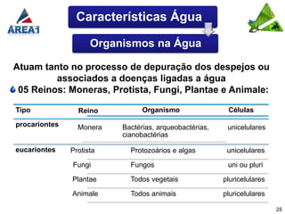 Características Água

                     Organismos na Água

Atuam tanto no processo de depuração dos despejos ou
         associados a doenças ligadas a água
 05 Reinos: Moneras, Protista, Fungi, Plantae e Animale:

Tipo             Reino          Organismo                Células

procariontes     Monera   Bactérias, arqueobactérias,    unicelulares
                          cianobactérias

eucariontes    Protista     Protozoários e algas         unicelulares

               Fungi        Fungos                       uni ou pluri

               Plantae      Todos vegetais              pluricelulares

               Animale      Todos animais               pluricelulares

                                                                         28
 