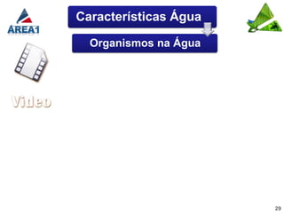 Características Água

  Organismos na Água




                       29
 