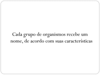 Cada grupo de organismos recebe um
nome, de acordo com suas características
 