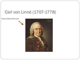 Carl von Linné (1707-1778)
Nomenclatura binomial
 
