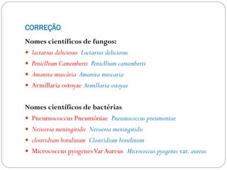 CORREÇÃO
Nomes científicos de fungos:
 lactarius deliciosus Lactarius deliciosus
 Penicllium Camemberti Penicllium camemberti
 Amanita muscária Amanita muscaria
 Armillaria ostoyae Armillaria ostoyae
Nomes científicos de bactérias
 Pneumococcus Pneumôniae Pneumococcus pneumoniae
 Neisseria meningitidis Neisseria meningitidis
 clostridium botulinum Clostridium botulinum
 Micrococcus pyogenesVarAureus Micrococcus pyogenes var. aureus
 