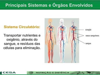 Aula 02 conceito e caracterização das células, tecidos, órgãos e ...