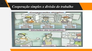 Cooperação simples x divisão do trabalho
13
 