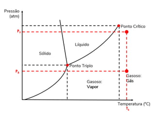 16/08/2022
19
P8
T6
P9
 