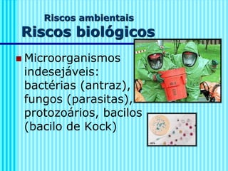 Riscos ambientais
Riscos biológicos
◼ Microorganismos
indesejáveis:
bactérias (antraz),
fungos (parasitas),
protozoários, bacilos
(bacilo de Kock)
 