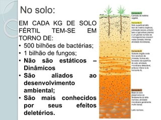 No solo:
EM CADA KG DE SOLO
FÉRTIL TEM-SE EM
TORNO DE:
• 500 bilhões de bactérias;
• 1 bilhão de fungos;
• Não são estáticos –
Dinâmicos
• São aliados ao
desenvolvimento
ambiental;
• São mais conhecidos
por seus efeitos
deletérios.
 
