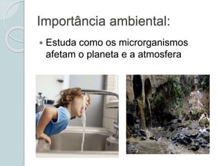 Importância ambiental:
 Estuda como os microrganismos
afetam o planeta e a atmosfera
 