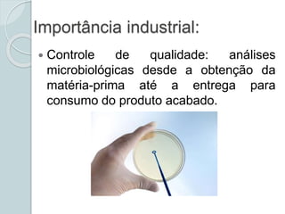 Importância industrial:
 Controle de qualidade: análises
microbiológicas desde a obtenção da
matéria-prima até a entrega para
consumo do produto acabado.
 