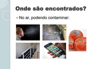Onde são encontrados?
 No ar, podendo contaminar:
 
