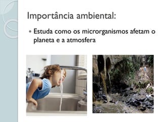 Importância ambiental:
 Estuda como os microrganismos afetam o
planeta e a atmosfera
 