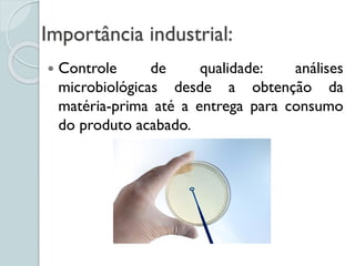 Importância industrial:
 Controle de qualidade: análises
microbiológicas desde a obtenção da
matéria-prima até a entrega para consumo
do produto acabado.
 