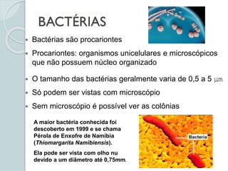 BACTÉRIAS
 Bactérias são procariontes
 Procariontes: organismos unicelulares e microscópicos
que não possuem núcleo organizado
 O tamanho das bactérias geralmente varia de 0,5 a 5 μm
 Só podem ser vistas com microscópio
 Sem microscópio é possível ver as colônias
A maior bactéria conhecida foi
descoberto em 1999 e se chama
Pérola de Enxofre de Namibia
(Thiomargarita Namibiensis).
Ela pode ser vista com olho nu
devido a um diâmetro até 0,75mm.
 