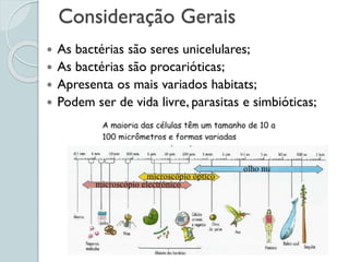 Consideração Gerais
 As bactérias são seres unicelulares;
 As bactérias são procarióticas;
 Apresenta os mais variados habitats;
 Podem ser de vida livre, parasitas e simbióticas;
 