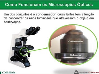 Um dos conjuntos é o condensador, cujas lentes tem a função
de concentrar os raios luminosos que atravessam o objeto em
observação.
 