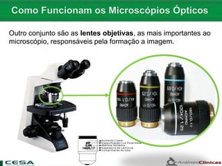 Outro conjunto são as lentes objetivas, as mais importantes ao
microscópio, responsáveis pela formação a imagem.
 
