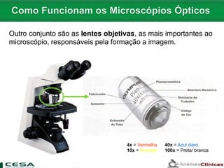 Outro conjunto são as lentes objetivas, as mais importantes ao
microscópio, responsáveis pela formação a imagem.
4x = Vermelha
10x = Amarela
40x = Azul claro
100x = Preta/ branca
 