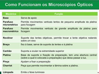 Mecânica Função
Base Serve de apoio
Parafuso
micrométrico
Permite movimentos verticais lentos de pequena amplitude da platina
para focagem
Parafuso
macrométrico
Permite movimentos verticais de grande amplitude da platina para
focagem
Revólver Suporte das lentes objetivas, permite trocar a lente objetiva rodando
sobre um eixo
Braço fixo à base, serve de suporte às lentes e à platina
Canhão Suporta a ocular na extremidade superior
Platina Base de suporte e fixação da preparação, tem uma abertura central
(sobre a qual é colocada a preparação) que deixa passar a luz.
Pinça Ajudam a fixar a preparação
Charriot Peça que permite movimentar a lâmina sobre a platina.
Lâmpada Emite o feixe luminoso
 