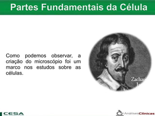 Como podemos observar, a
criação do microscópio foi um
marco nos estudos sobre as
células.
 