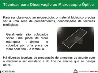Para ser observado ao microscópio, o material biológico precisa
ser a uma série de procedimentos, denominados de técnicas
citológicas.
Há diversas técnicas de preparação de amostras de acordo com
o material a ser estudado e do tipo de análise que se deseja
obter.
Geralmente são colocados
sobre uma placa de vidro
retangular - a lâmina - e
cobertos por uma placa de
vidro bem fina - a lamínula.
 