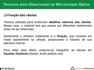  Fixação das células
Técnica utilizada para evidenciar detalhes internos das células.
Nesse caso, o material tem que passar por diferentes tratamentos
antes de ser observado.
Geralmente o primeiro tratamento é a fixação, que consiste em
matar rapidamente as células, preservando o máximo de sua
estrutura interna.
Para obter esse efeito, costuma-se mergulhar as células em
líquidos fixadores (formol, ácido acético, etc)
 