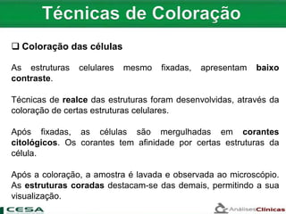  Coloração das células
As estruturas celulares mesmo fixadas, apresentam baixo
contraste.
Técnicas de realce das estruturas foram desenvolvidas, através da
coloração de certas estruturas celulares.
Após fixadas, as células são mergulhadas em corantes
citológicos. Os corantes tem afinidade por certas estruturas da
célula.
Após a coloração, a amostra é lavada e observada ao microscópio.
As estruturas coradas destacam-se das demais, permitindo a sua
visualização.
 